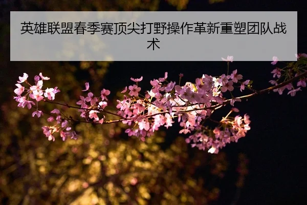 英雄联盟春季赛顶尖打野操作革新重塑团队战术 - C7